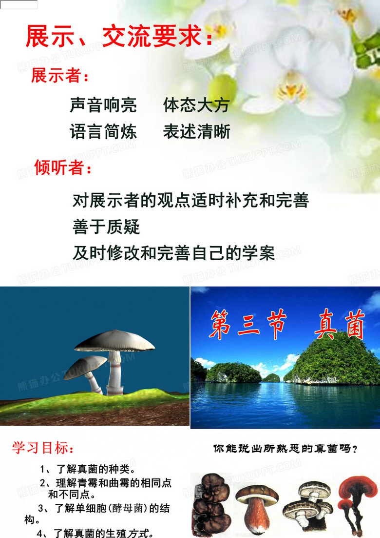 第三节   真菌