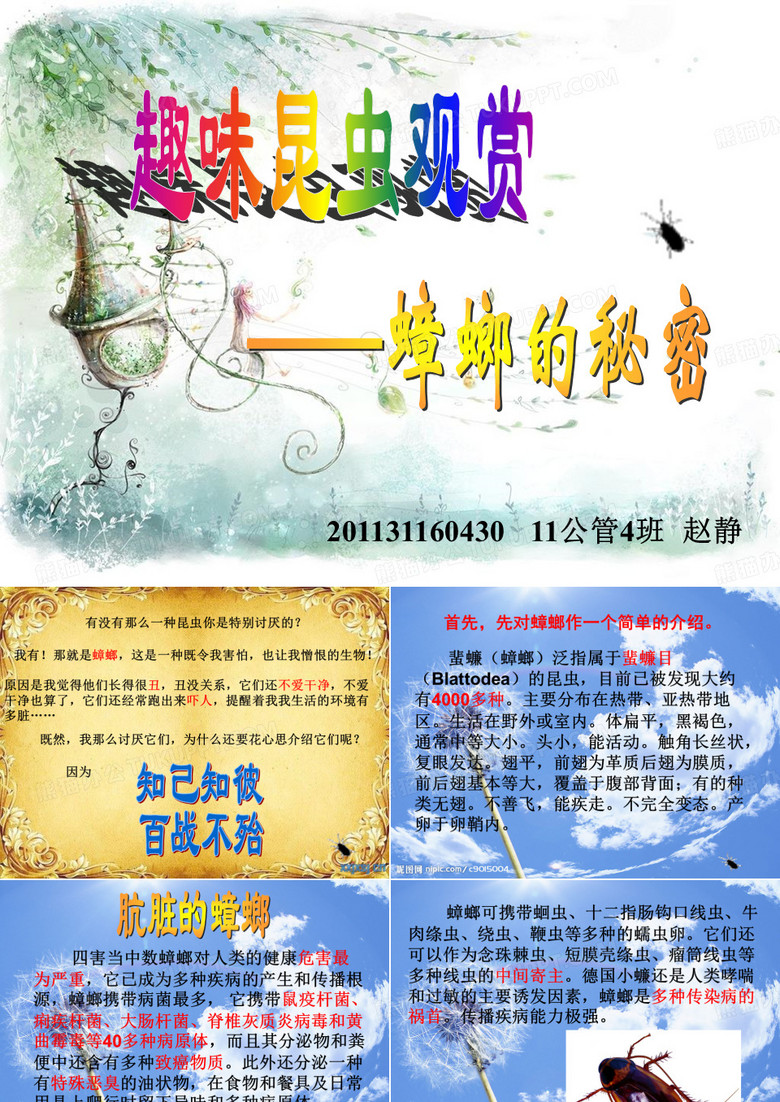 蟑螂