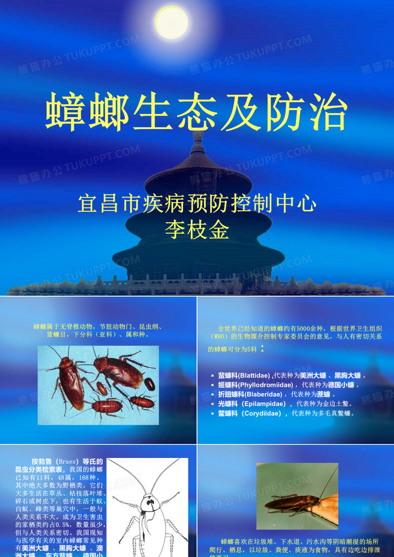 蟑螂生态及防治