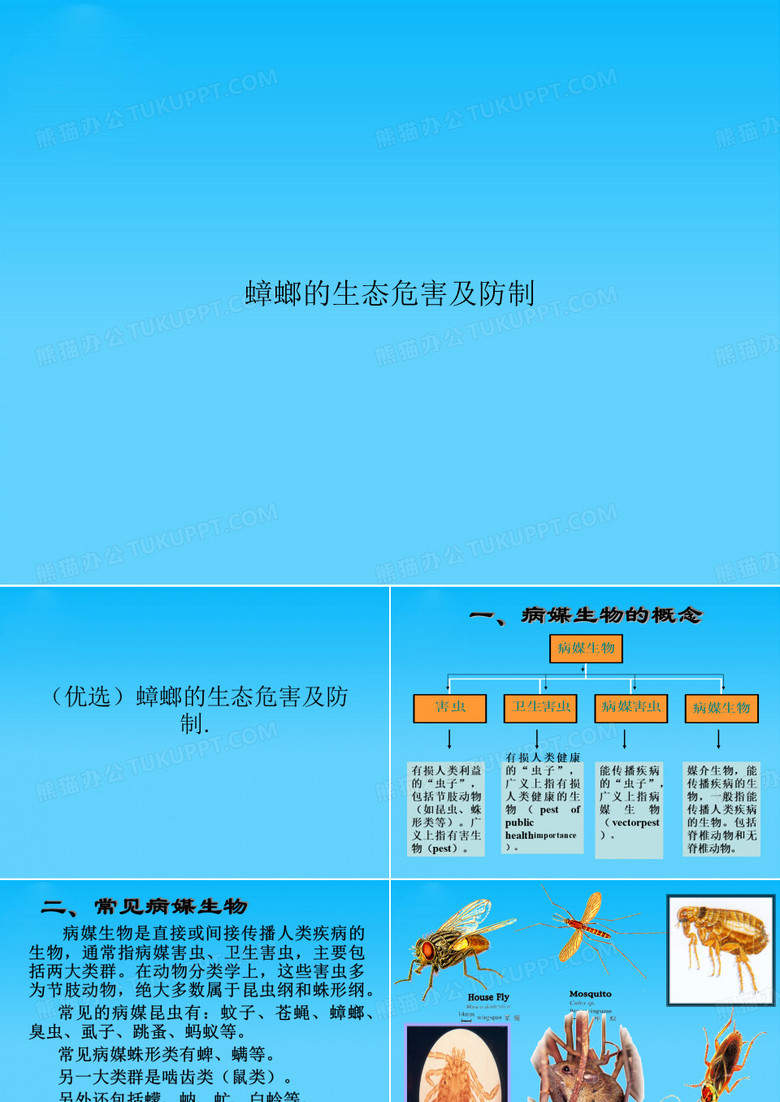 蟑螂的生态危害及防制