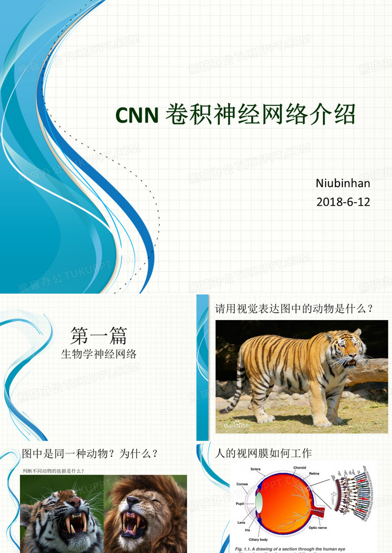CNN 卷积神经网络介绍