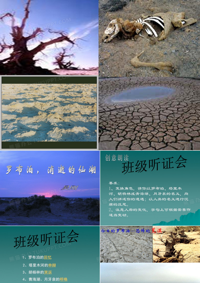 罗布泊,消逝的仙湖