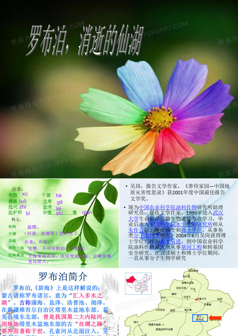 罗布泊消逝的仙湖。。