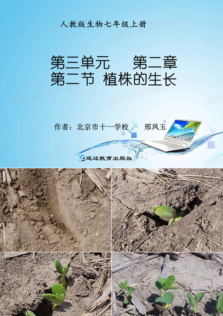 植株的生长