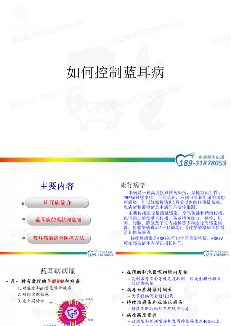 蓝耳病的防治