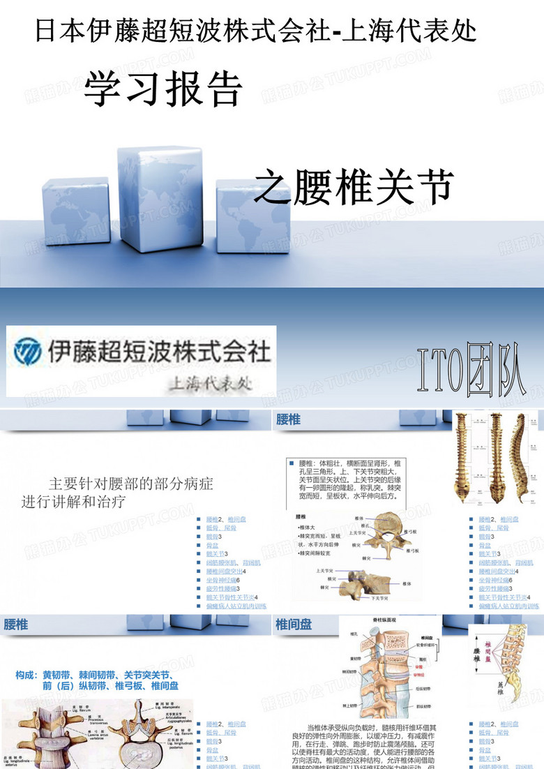 腰髋关节