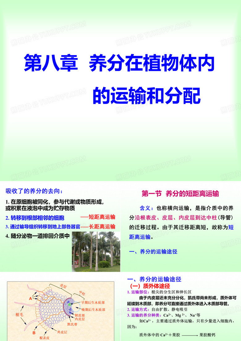 植物营养学8