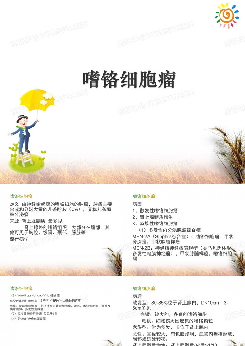 嗜铬细胞瘤ppt课件-嗜铬细胞瘤ppt