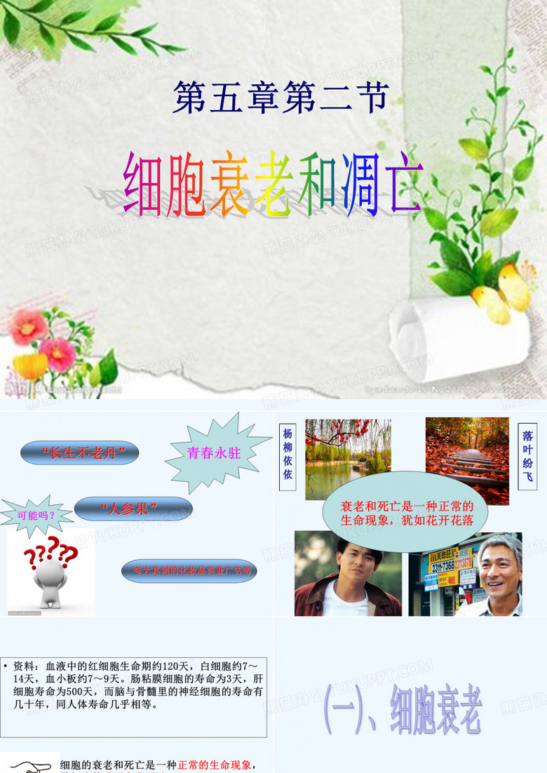 细胞衰老和凋亡