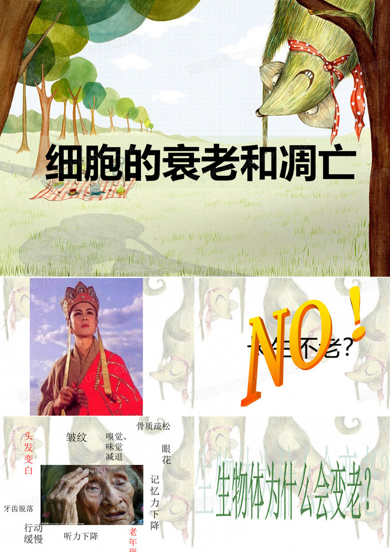 细胞的衰老和凋亡