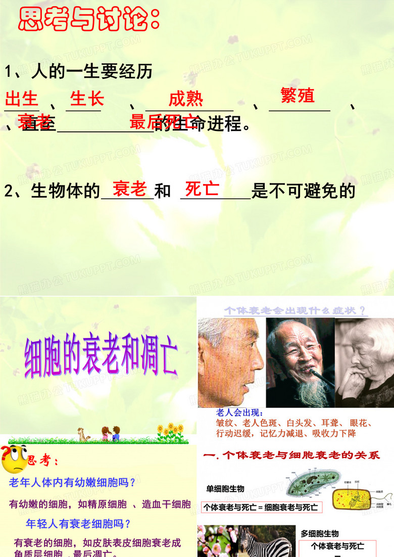 细胞衰老和凋亡