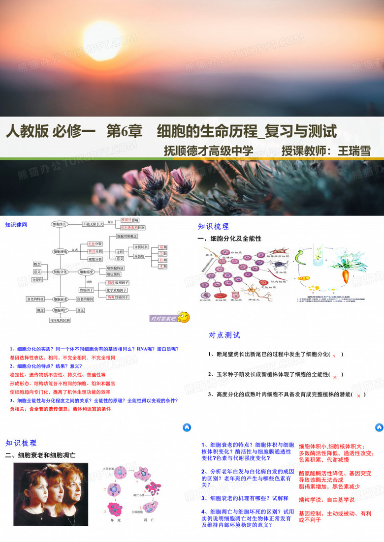细胞衰老和凋亡