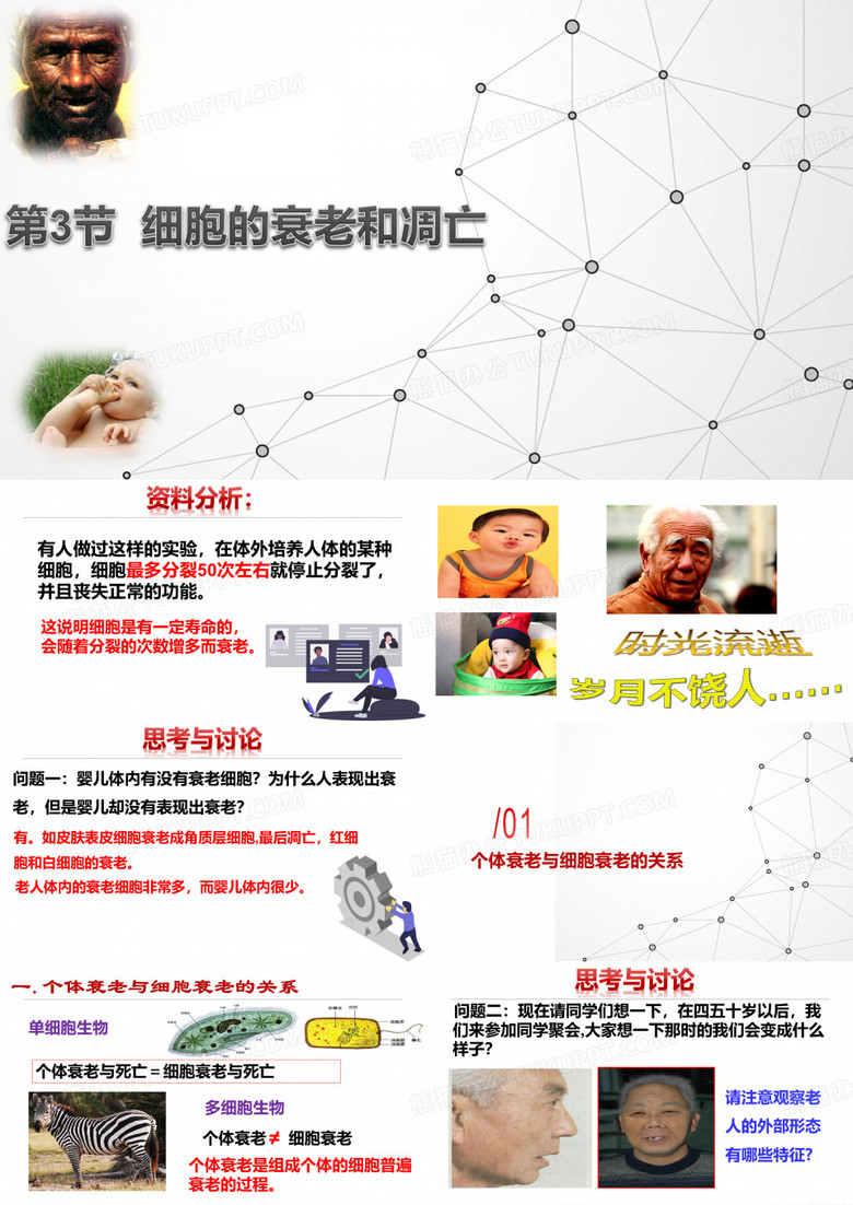 细胞衰老和凋亡