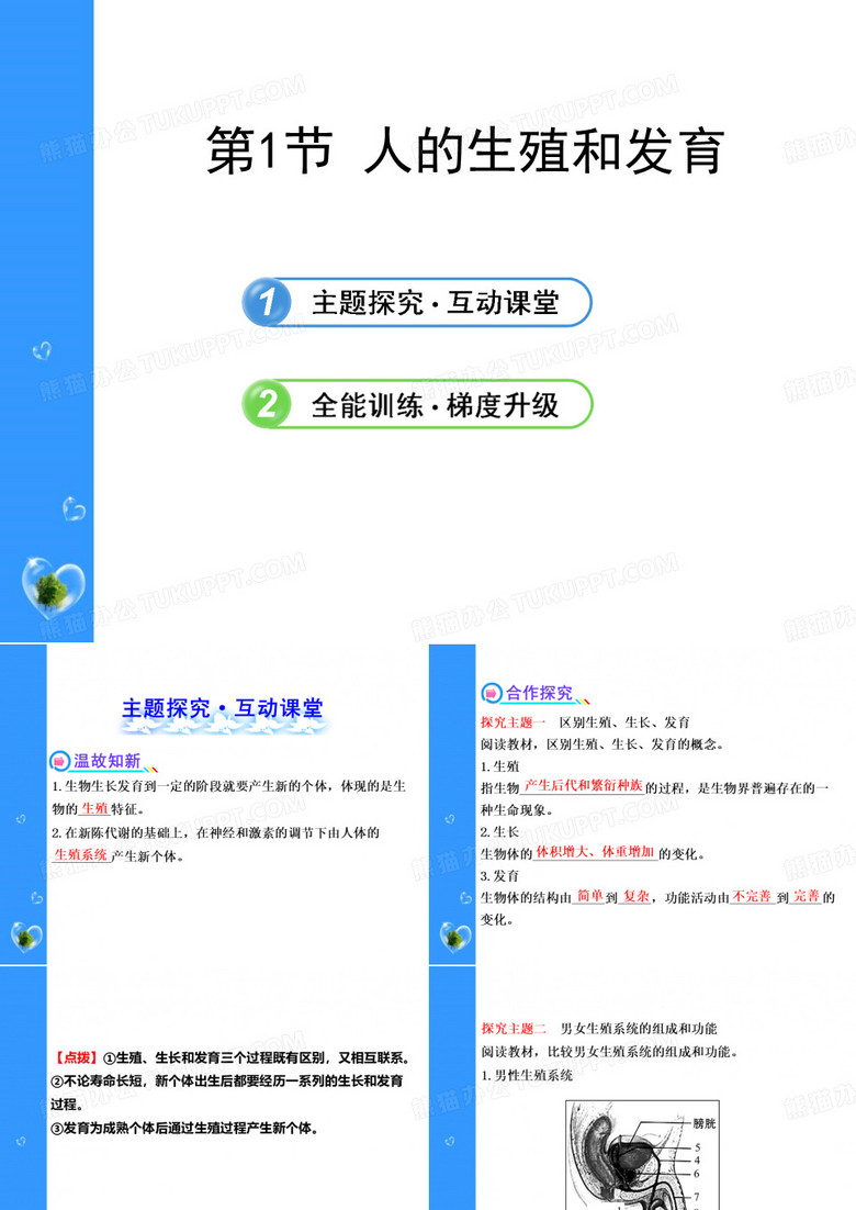《人的生殖和发育》PPT
