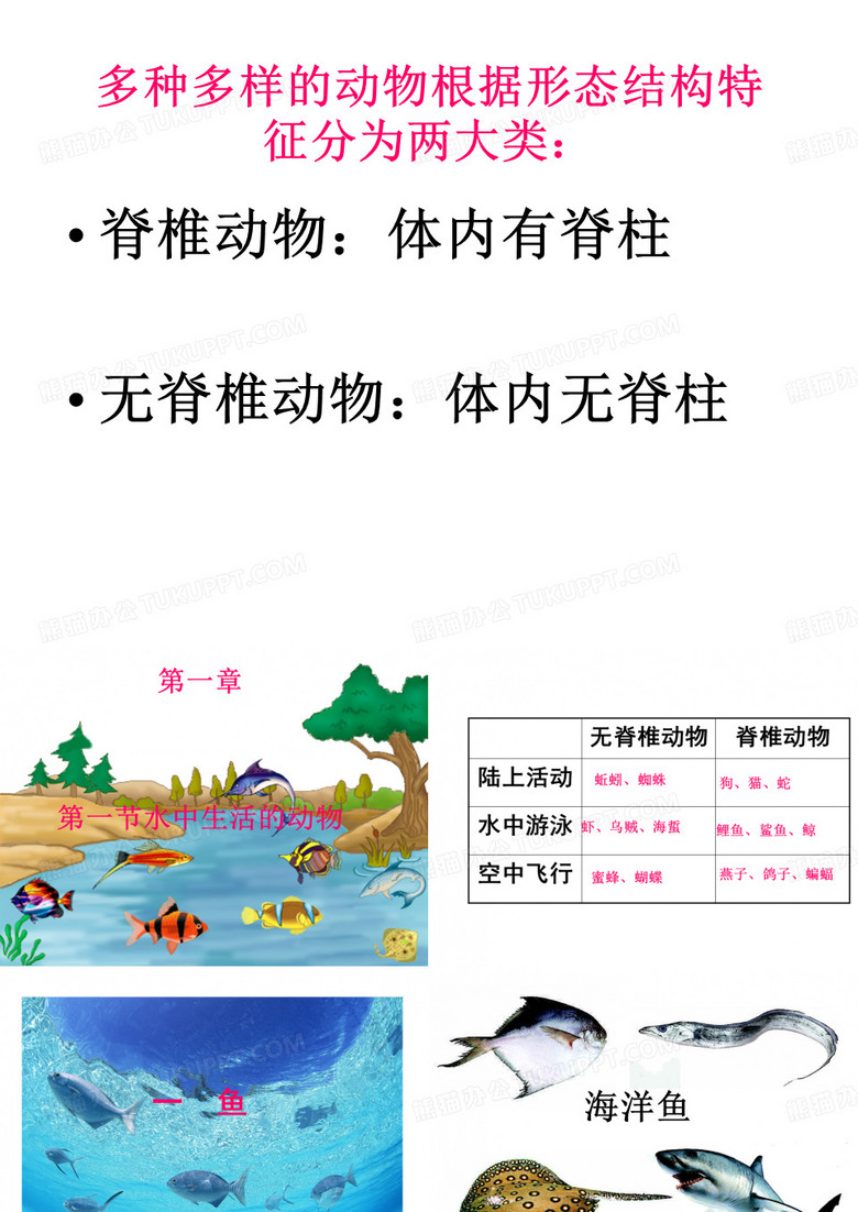水中生活的动物