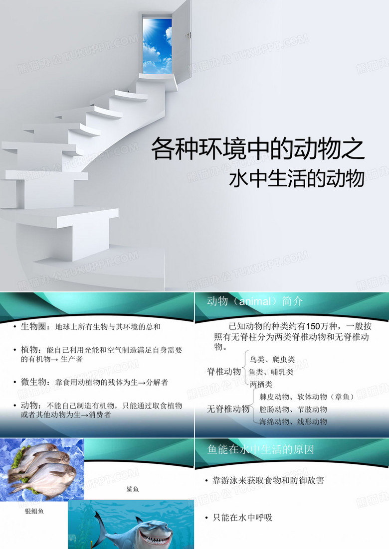 水中生活的动物