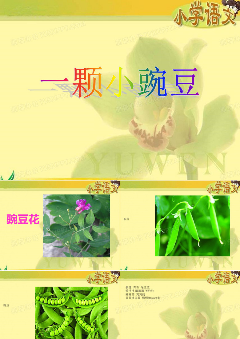 4一颗小豌豆[精华]