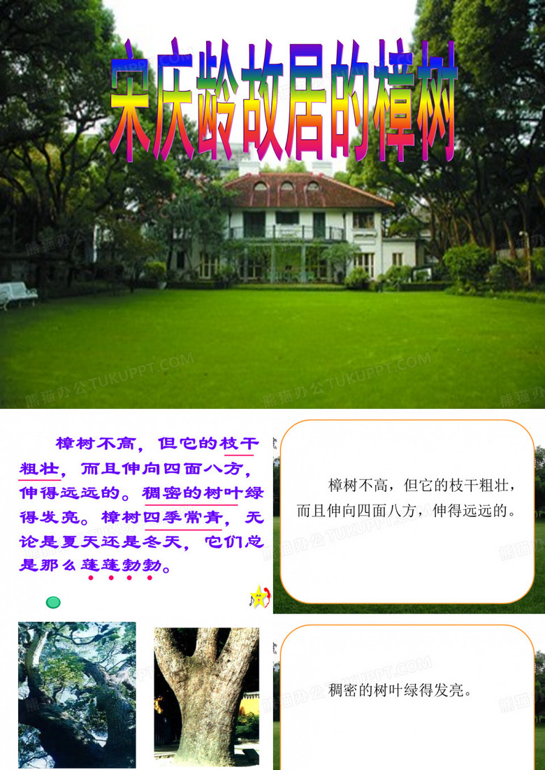 《宋庆龄故居的樟树》课件