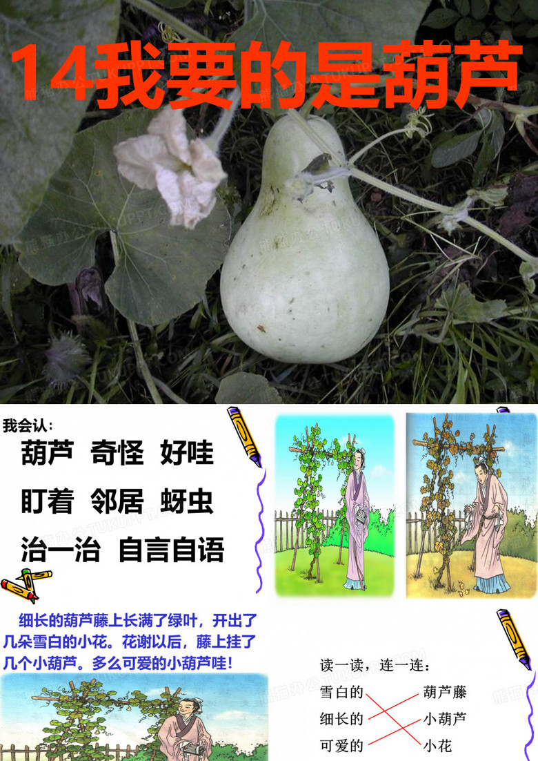 《我要的是葫芦》课件