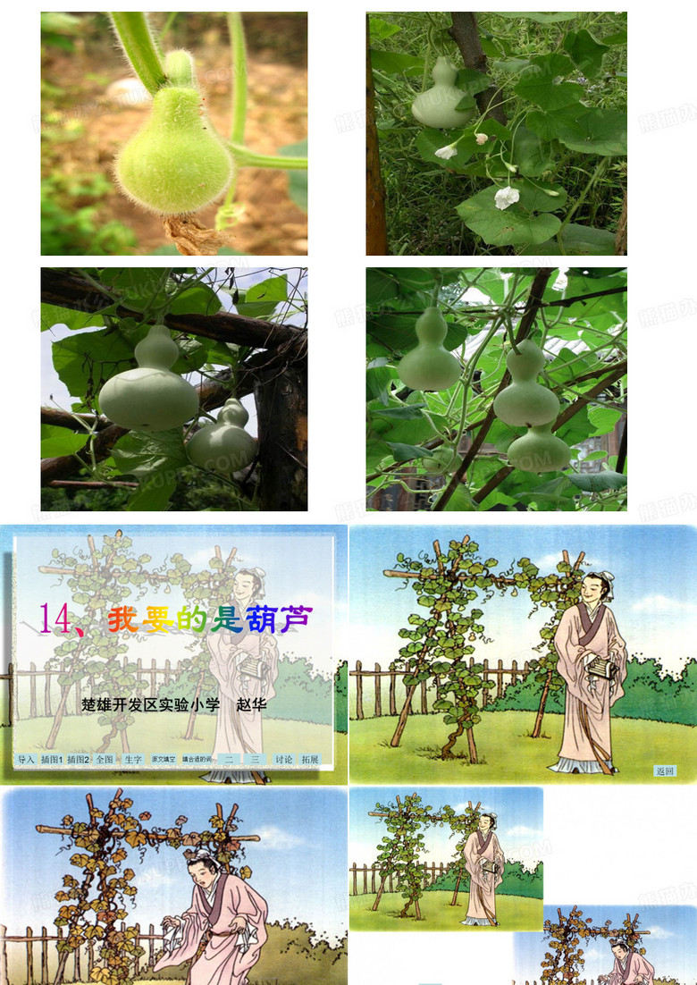 我要的是葫芦
