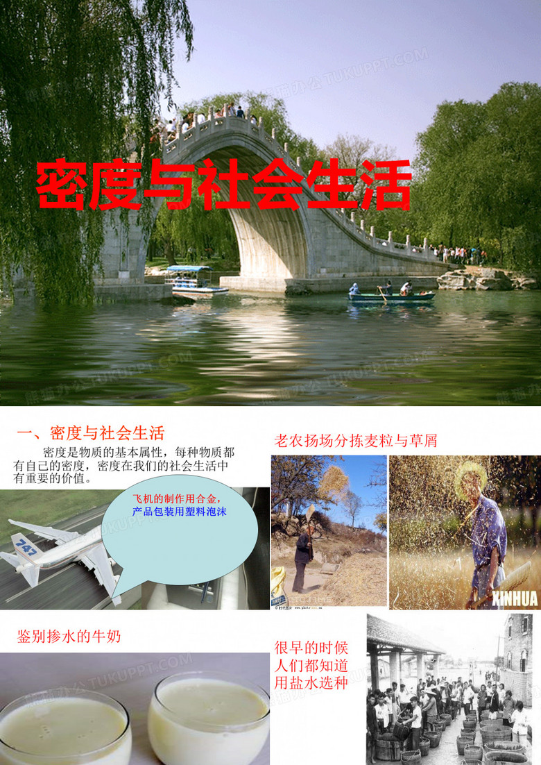 密度与社会生活