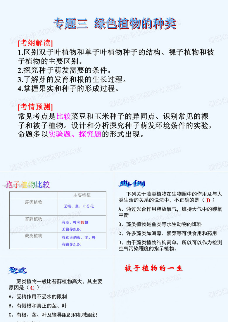 被子植物的一生学习