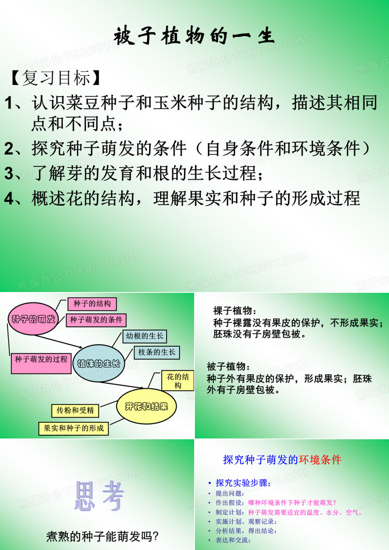 被子植物的一生-郑