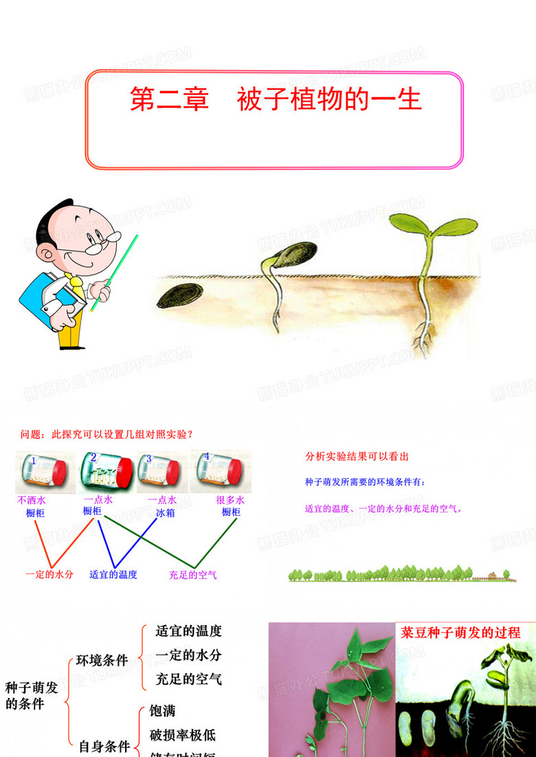 复习被子植物的一生