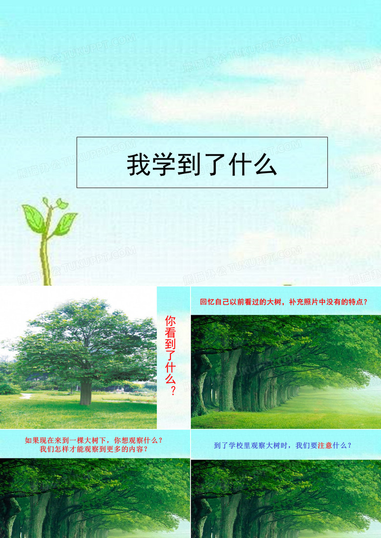 大象版二年级科学