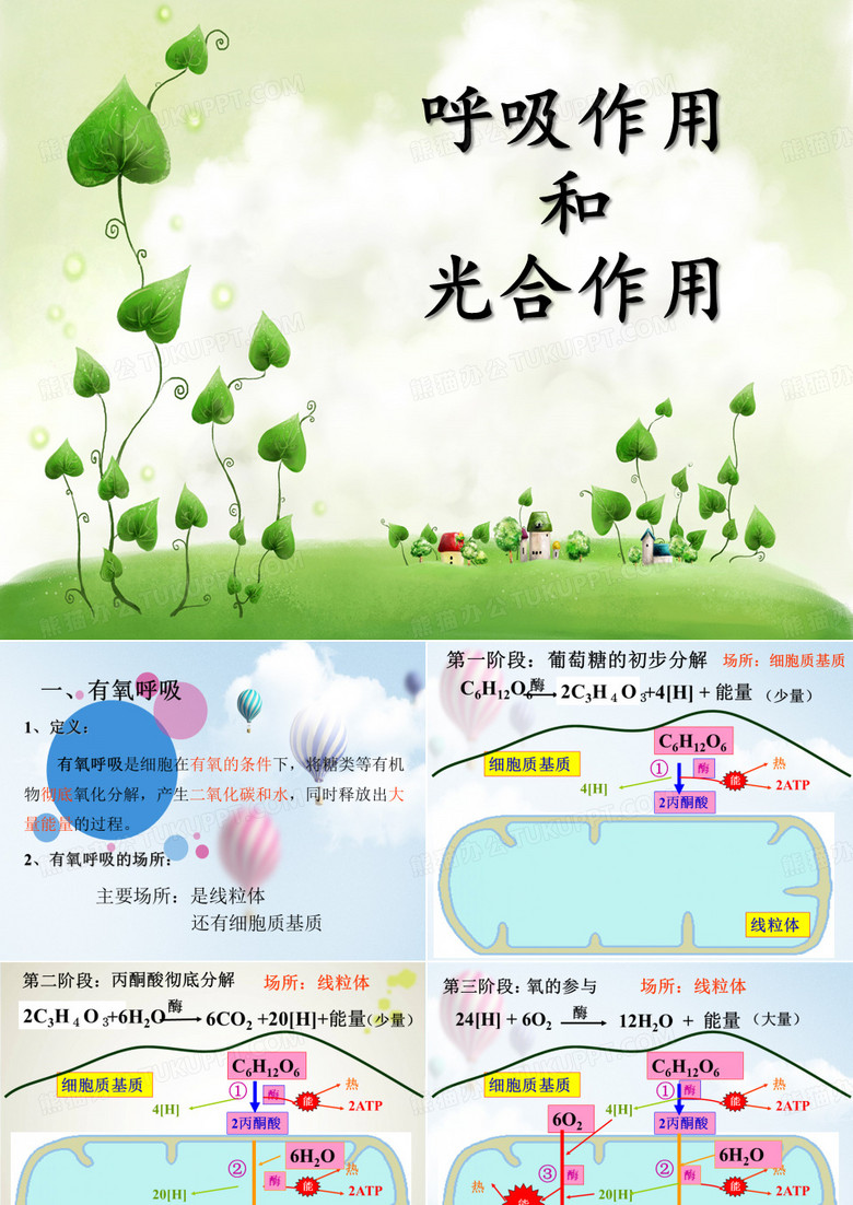 呼吸作用和光合作用