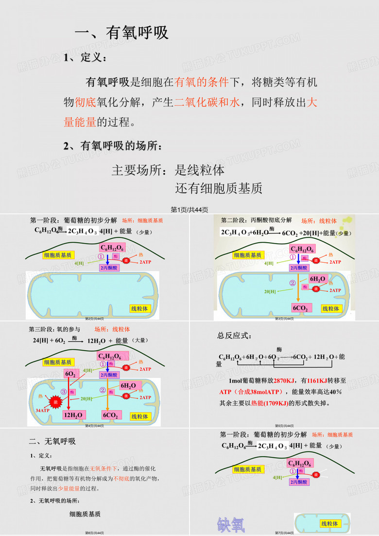 呼吸作用和光合作用