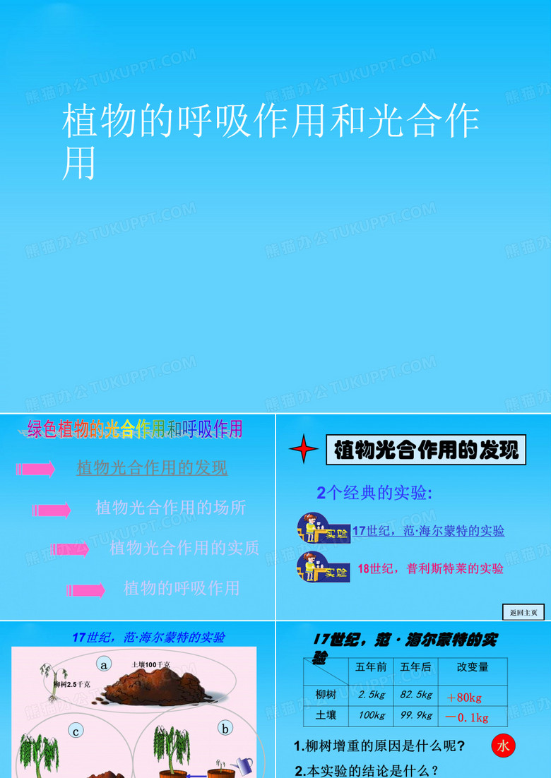 植物的呼吸作用和光合作用