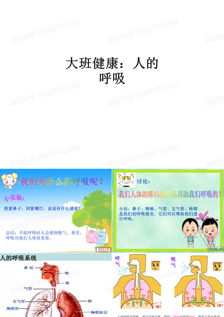 大班健康：人的呼吸ppt课件