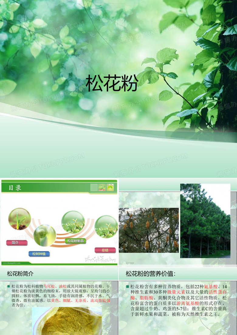 松花粉 ppt课件