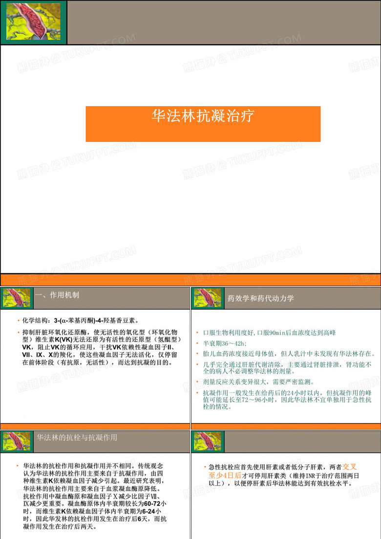 华法林抗凝治疗