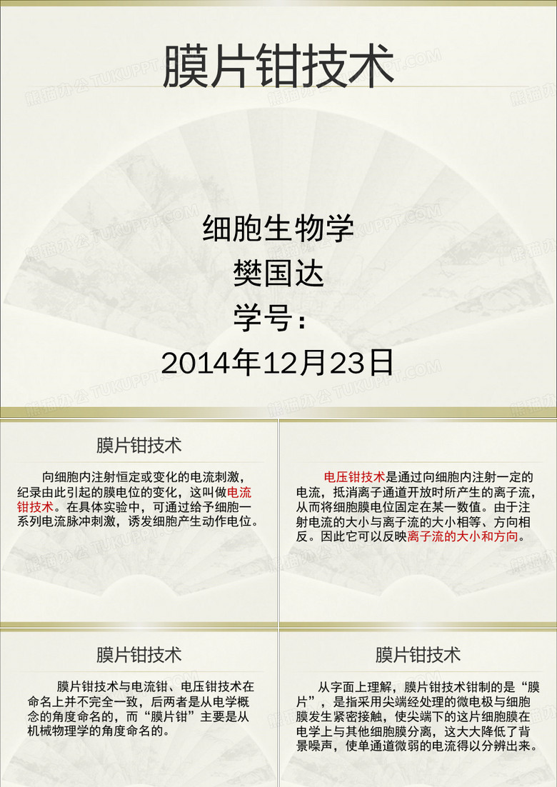 膜片钳技术及应用
