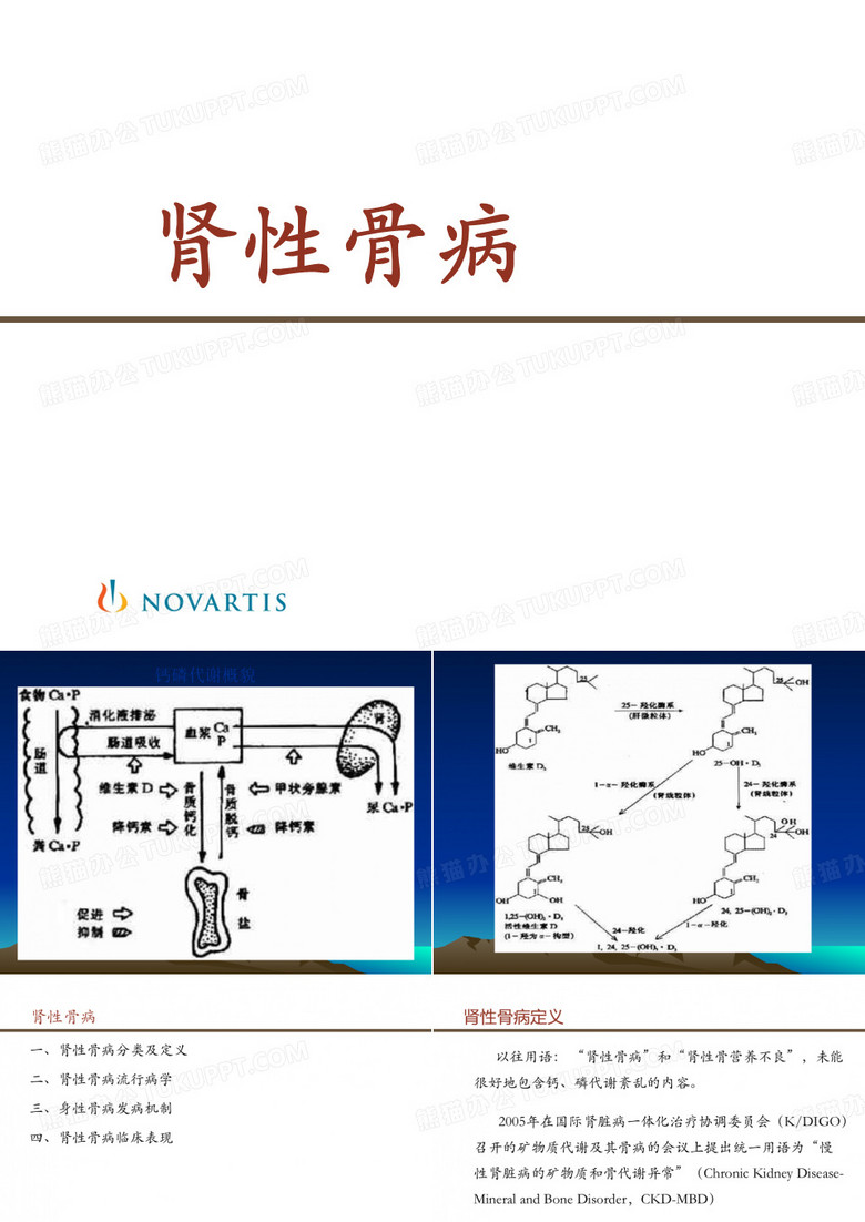 肾性骨病