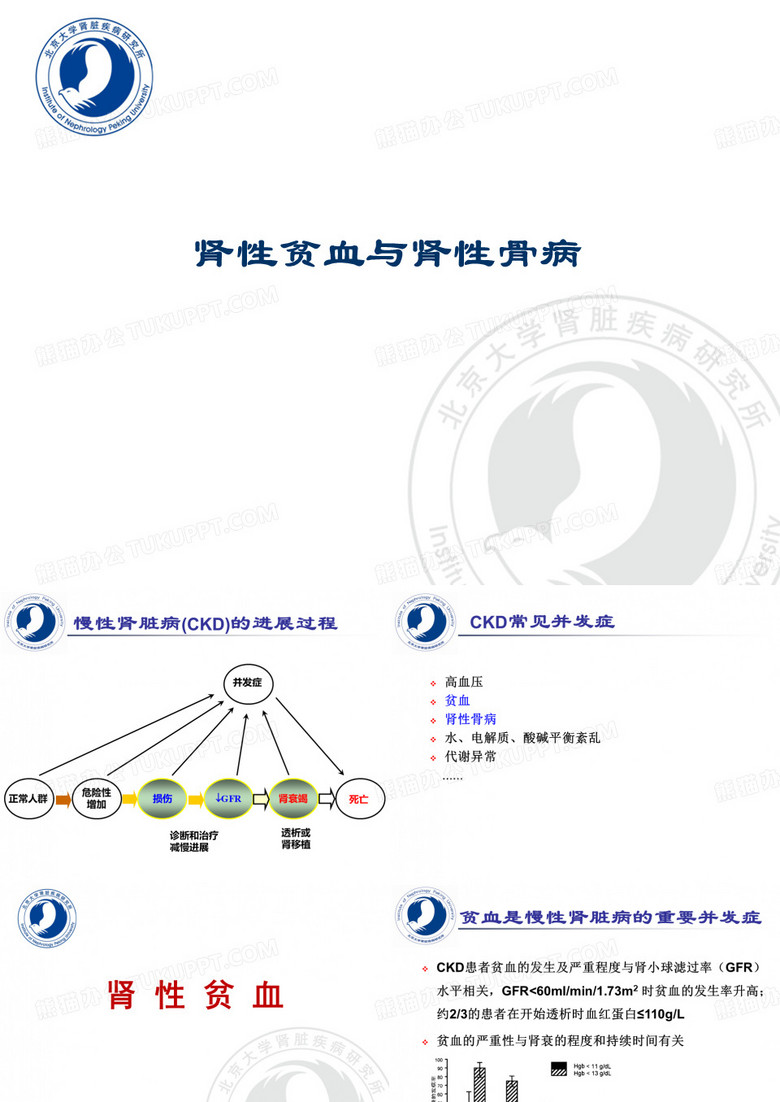 肾性贫血与肾性骨病