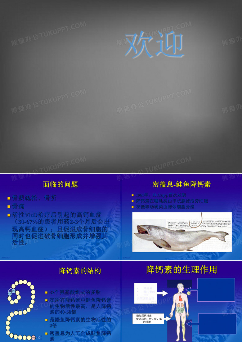 密盖息-肾性骨病治疗