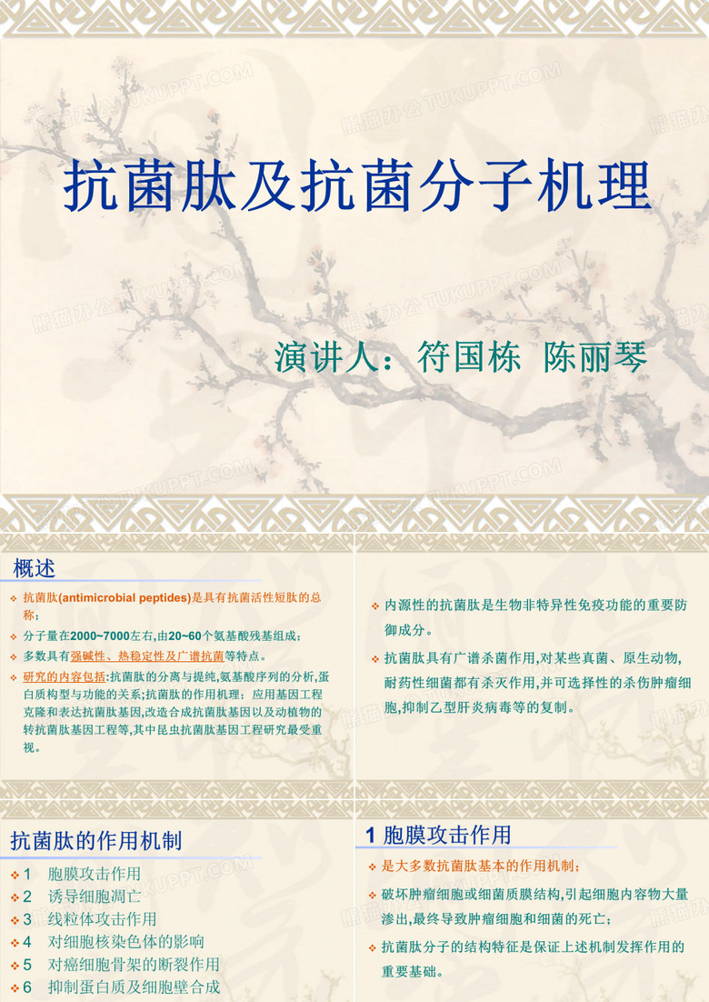 抗菌肽及抗菌分子机理 -(修改)