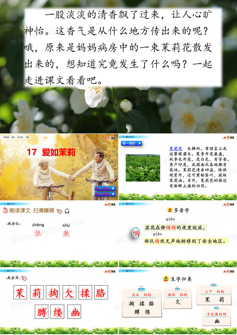 17 爱如茉莉