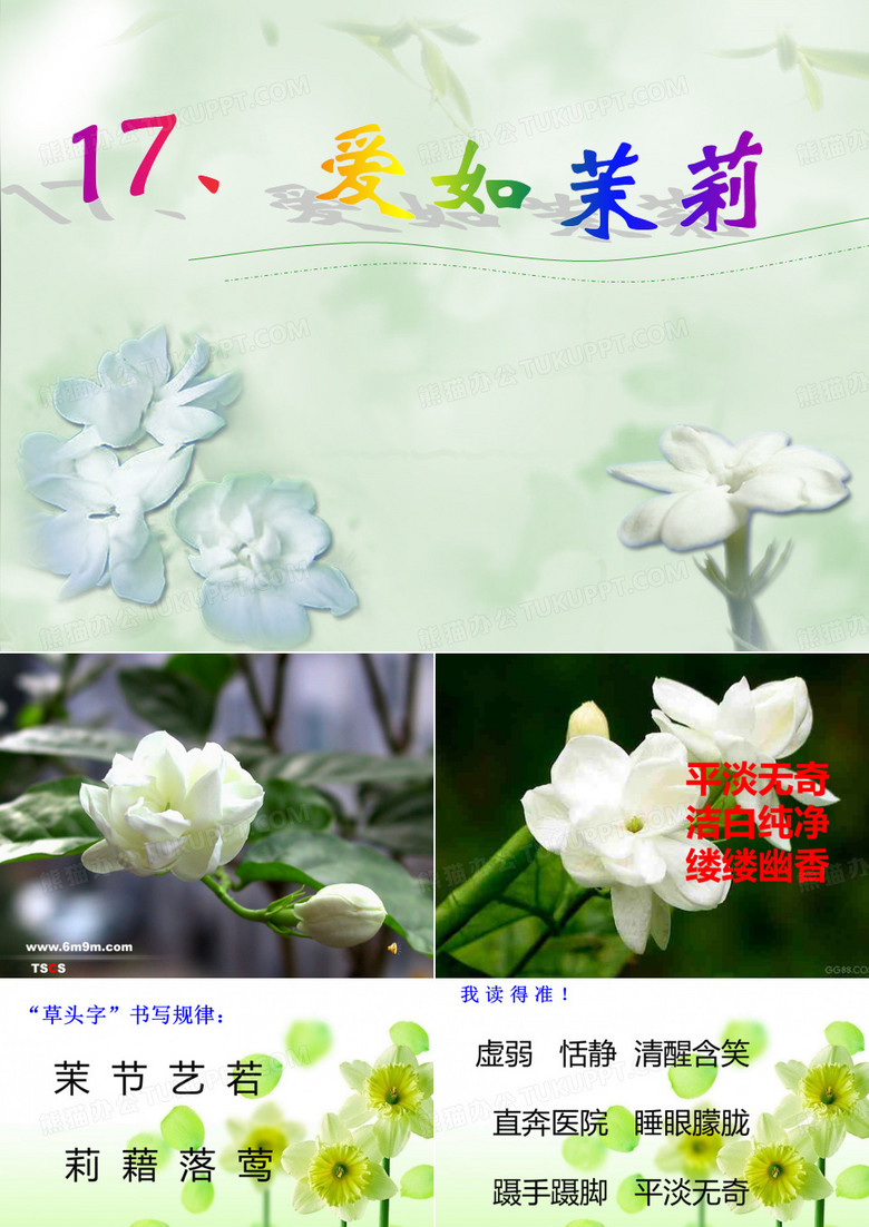 爱如茉莉PPT课件3
