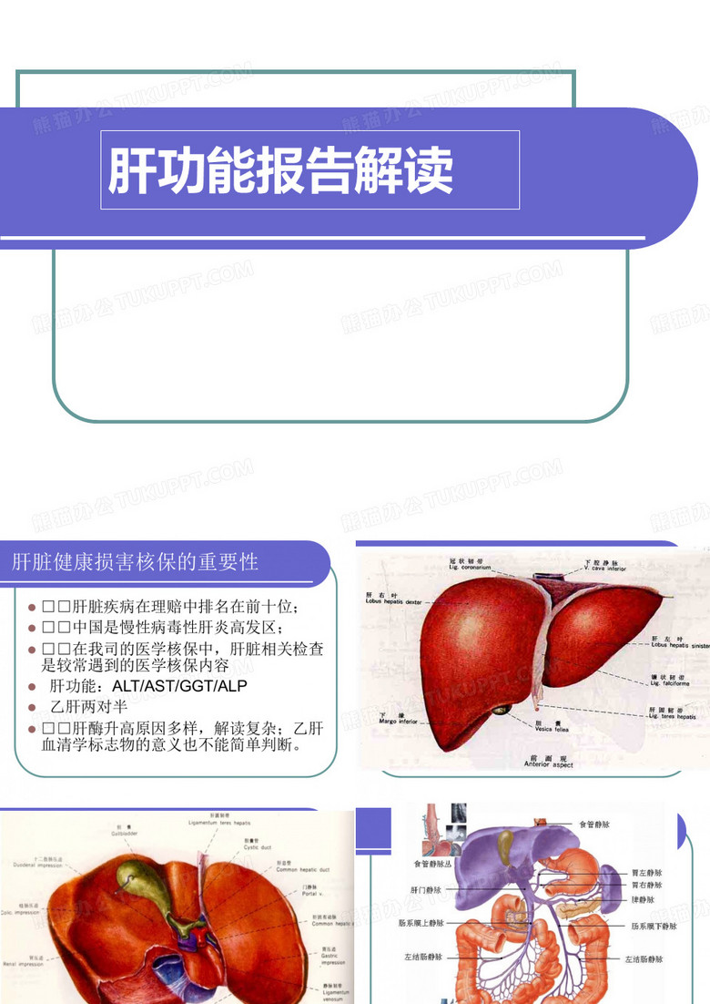 肝功能乙肝两对半的解读