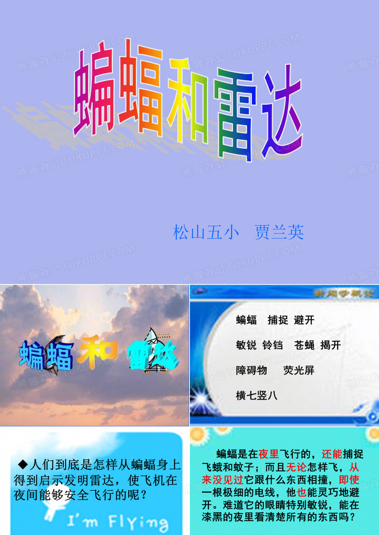 蝙蝠和雷达课件