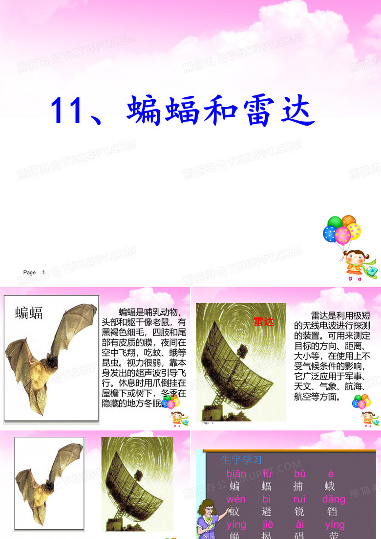 《蝙蝠和雷达》课件