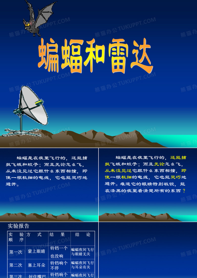 蝙蝠和雷达课件