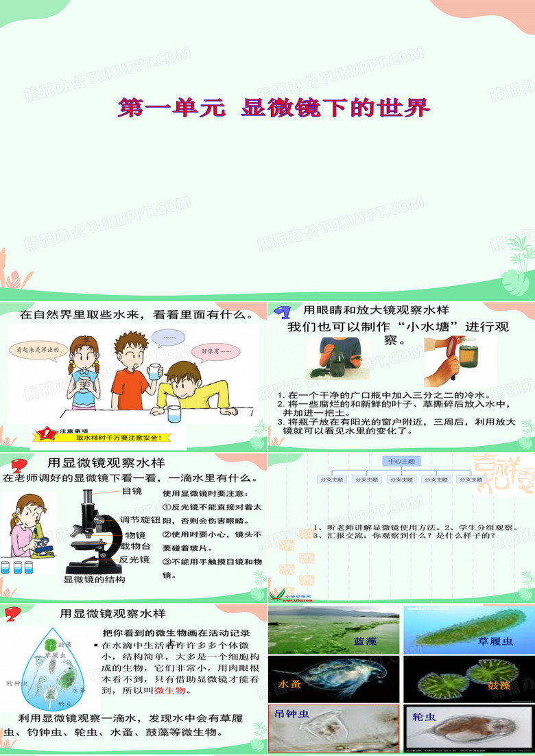 小学科学水滴里的生物课件ppt