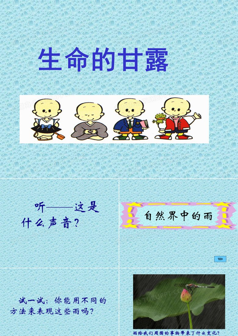 《生命的甘露》课件