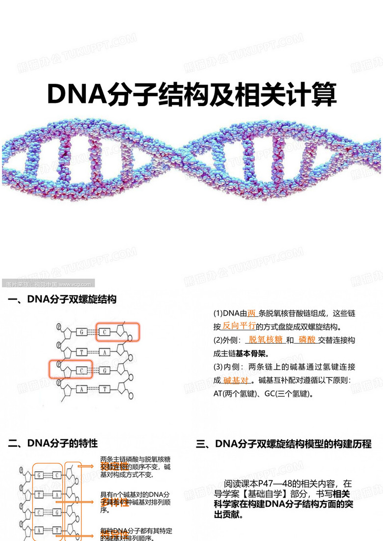 DNA分子结构