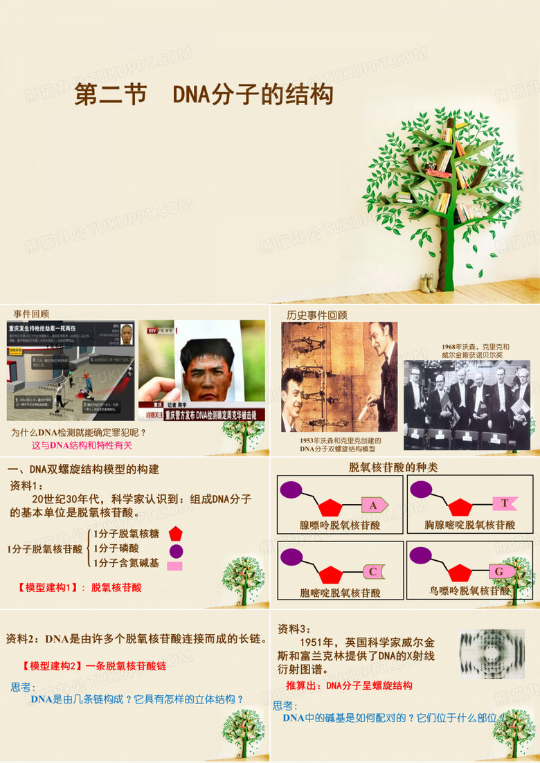 DNA分子的结构